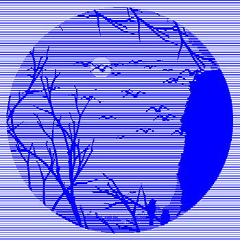 soi cau betwin2888