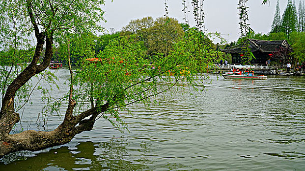 soi cau dau duoi mb