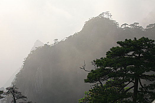 cau bach thu mien bac hom nay
