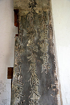 minh ngoc net