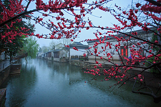 xo số hôm nay