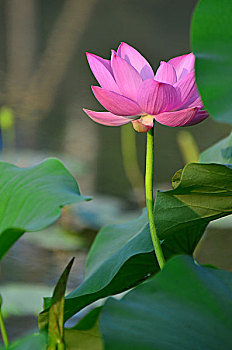 xổ số miền bắc 888