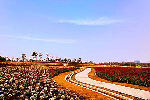 xs mình ngoc
