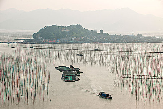 dự đoán xổ số trà vinh hôm nay