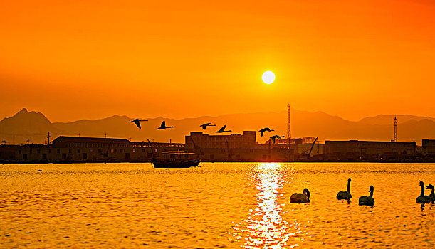 bạch thủ đề hôm nay