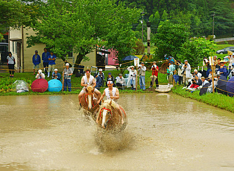 soi cầu long an