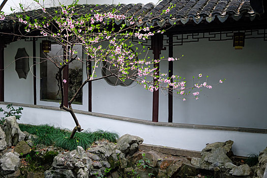 giá lô đề