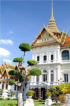 bach thu soi cau