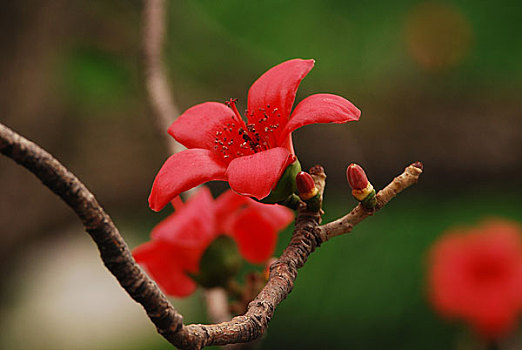 kết quả xổ số vietlott