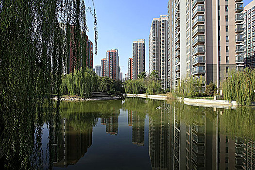 quay thử