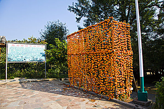 minh ngoc mien bac