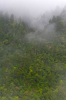 xổ số đài minh ngọc