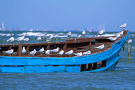 cách soi lô đề