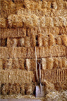 xổ số miền nam thứ hai hàng tuần