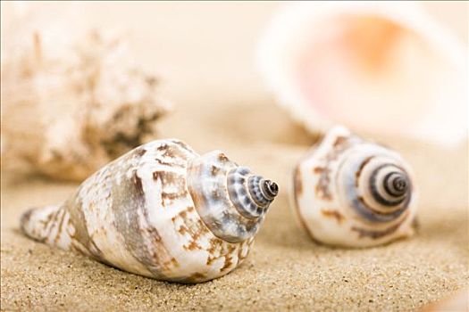 xổ số gia lai thứ sáu hàng tuần