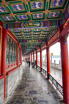 bach thu lo mien bac