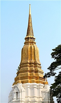 soi cau 9999 hom nay