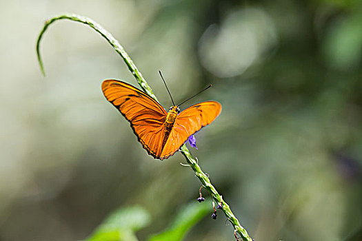 xổ số an