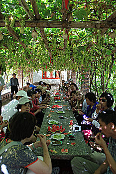 soi cau du doan xo so mien bac