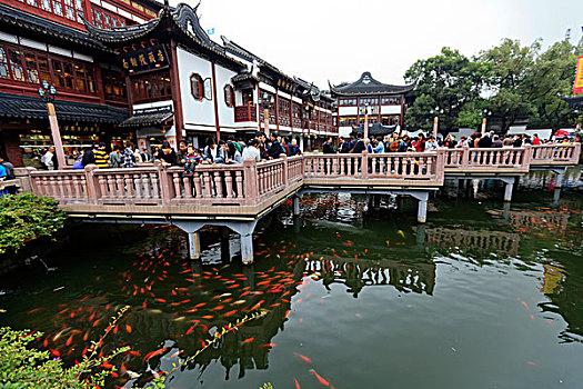 soi bạch thủ lô miền bắc hôm nay