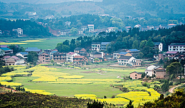 xs kiên giang