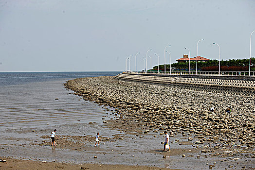 xshcm minh ngoc