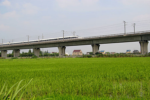 xskt miền bắc hôm nay