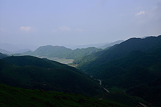 soi cau lo bach thu mien bac mien phi
