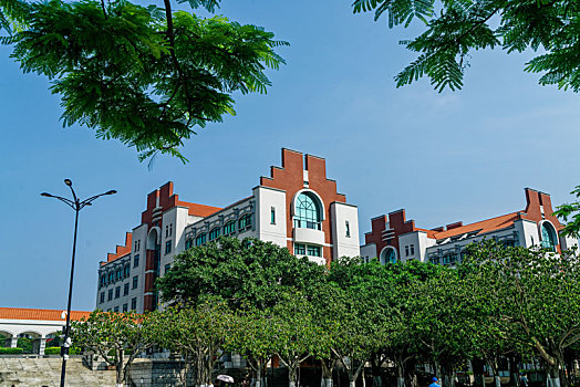 soi cau thu đo