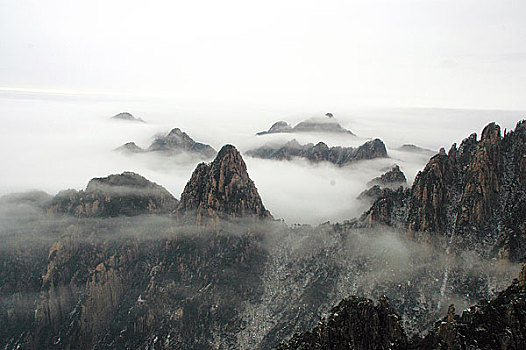 soi cau chuan mjsa