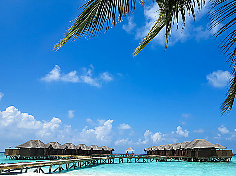 soi cầu đại phát