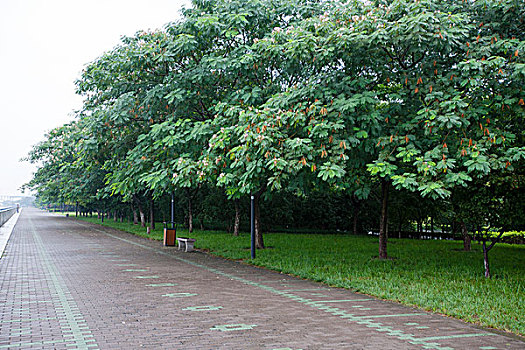 soi cầu xổ số vĩnh long