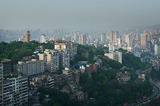 soi cau mb gio vang