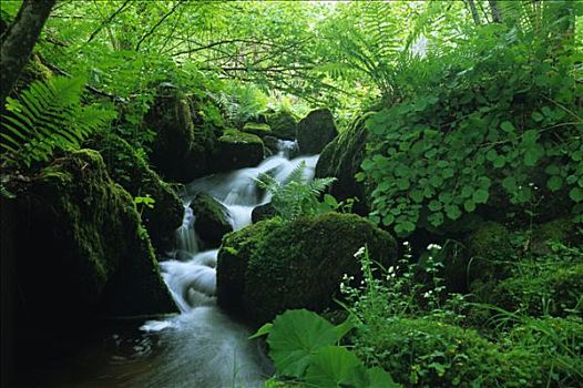 soi cau lo de binh dinh 568