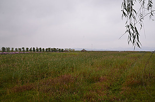 hom nay danh bach thu con gi