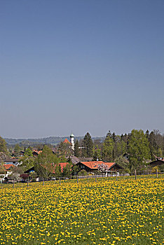 bachthulo mienbac