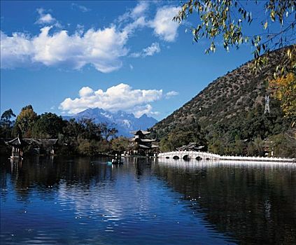 bach thu mien phi