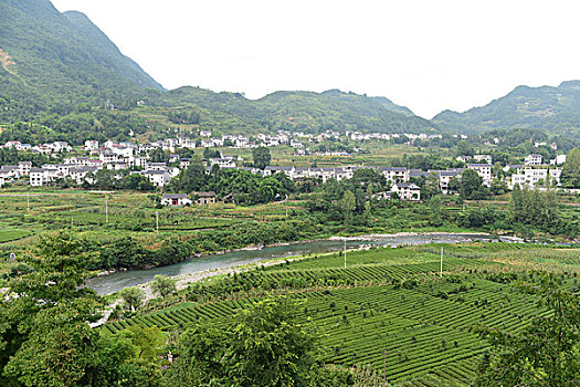 xổ số quảng trị