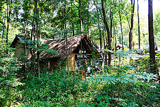 dự đoán số đề hôm nay