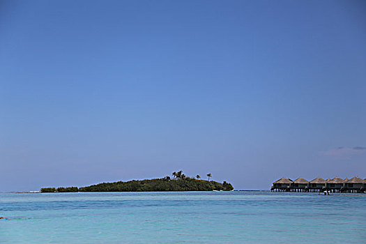 cau bach thu
