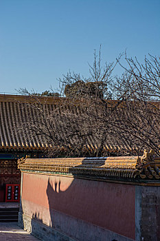 dự đoán xsmb miễn phí