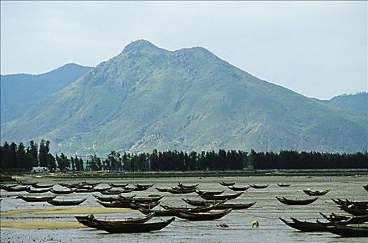 bạch thủ lô ngày hôm nay