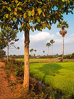 du doan kqxs bac trung nam