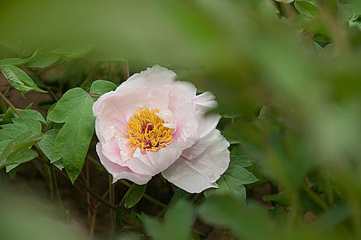 số xổ số miền bắc