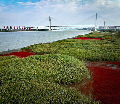 quay xổ số trực tiếp