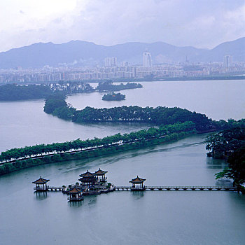 lo gan rong bach kim