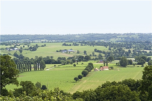 cau bach thu 888
