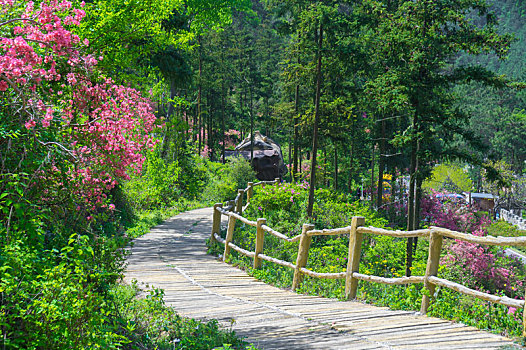 xổ số an giang 30 ngày