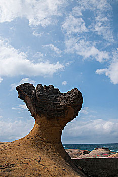 xo số hôm nay