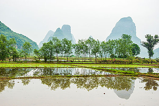 kết quả xổ số phú yên